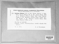 Image Associated With the Occurence